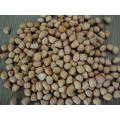 New Crop Good Quality Blanched Peanut Kernels